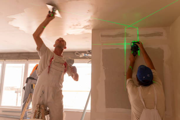 Best Ceiling Drywall Installation  in Mcrae Helena, GA